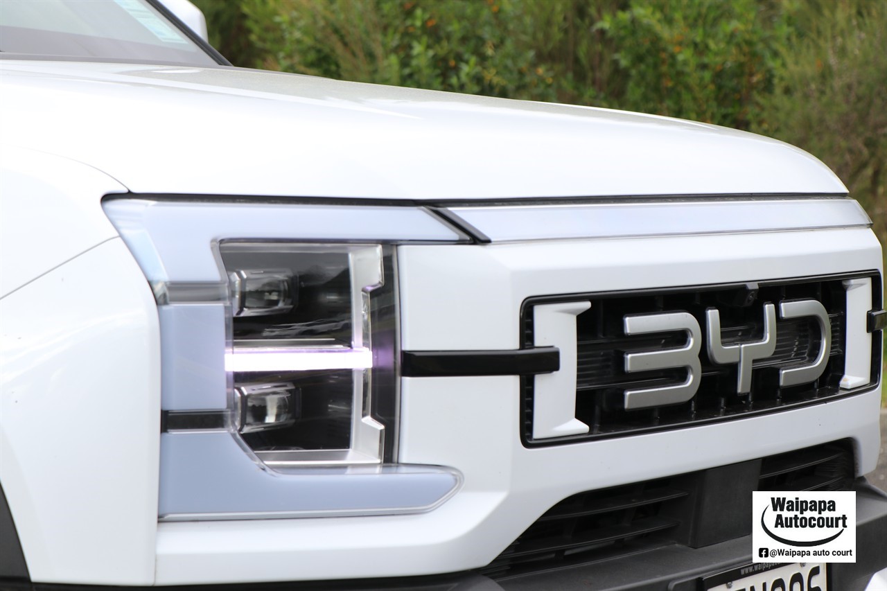 2025 BYD Shark 6